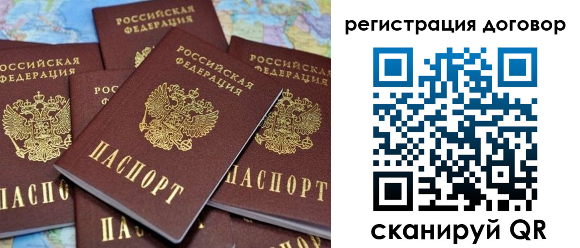 прописка гарантия в Малой Вишере